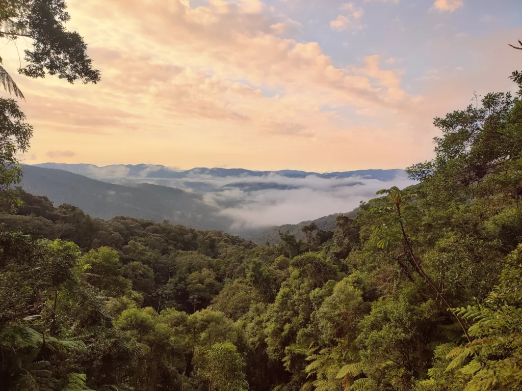 Mirante Mata Atlântica